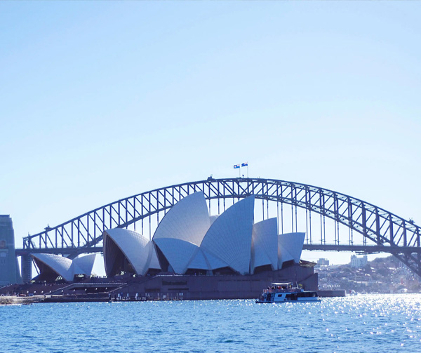 公司組織全體員工春游團建活動